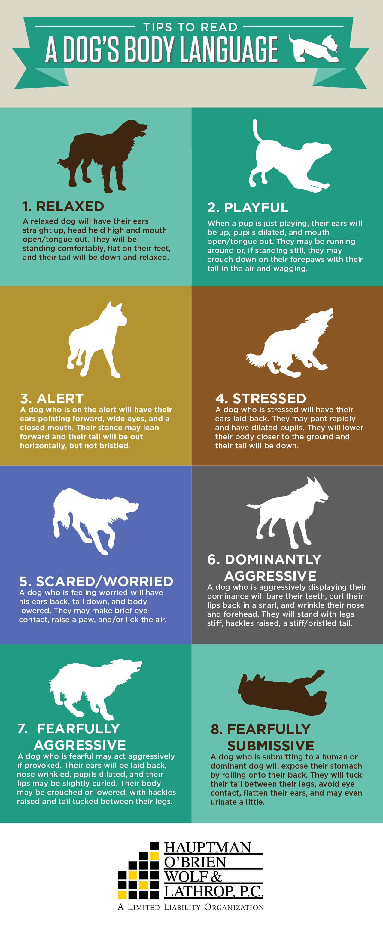 Preventing Dog Bites: How to Read A Dog's Body Language